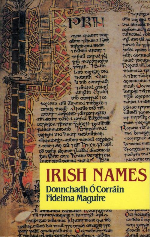 Cover of the book Irish Names by Donnchadh Ã“ CorrÃ¡in, Fidelma Maguire, The Lilliput Press
