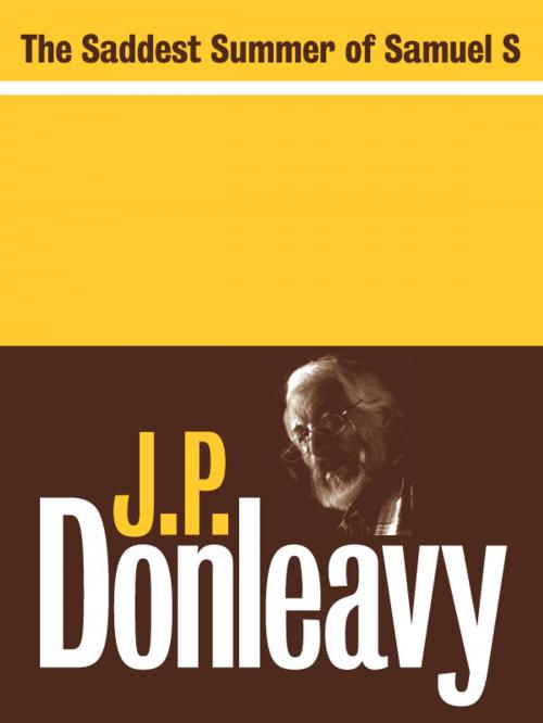 Cover of the book The Saddest Summer of Samuel S by J.P. Donleavy, The Lilliput Press