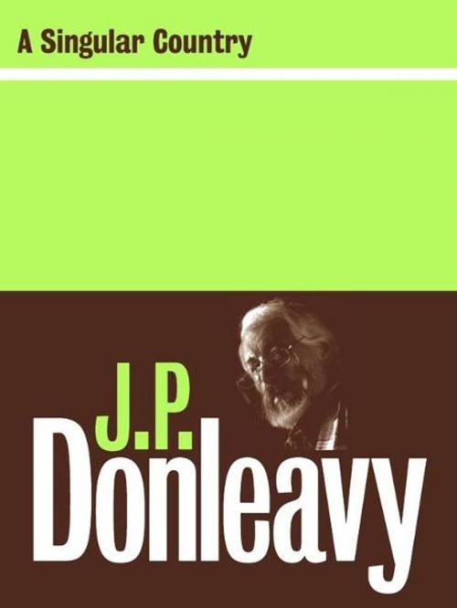 Cover of the book A Singular Country by J.P. Donleavy, The Lilliput Press