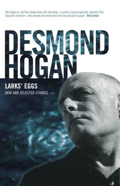 Cover of the book Lark's Eggs by Desmond Hogan, The Lilliput Press