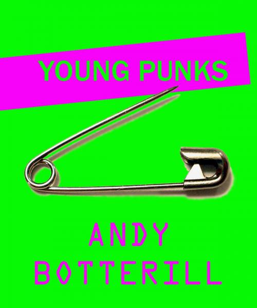 Cover of the book Young Punks by Andrew Botterill, Create