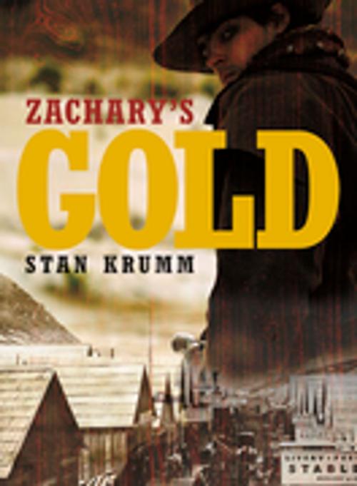 Cover of the book Zachary's Gold by Stan Krumm, Touchwood Editions