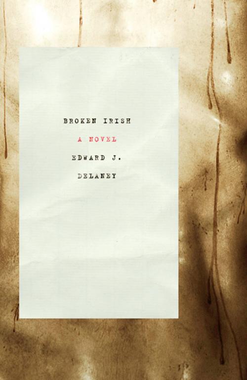 Cover of the book Broken Irish by Edward J. Delaney, Turtle Point Press