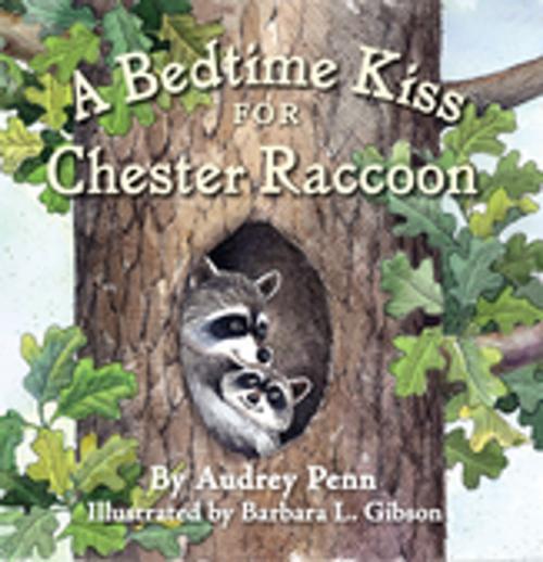 Cover of the book A Bedtime Kiss for Chester Raccoon by Audrey Penn, Tanglewood Publishing, Inc.