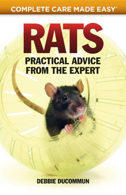 Cover of the book Rats by Debbie Ducommum, CompanionHouse Books