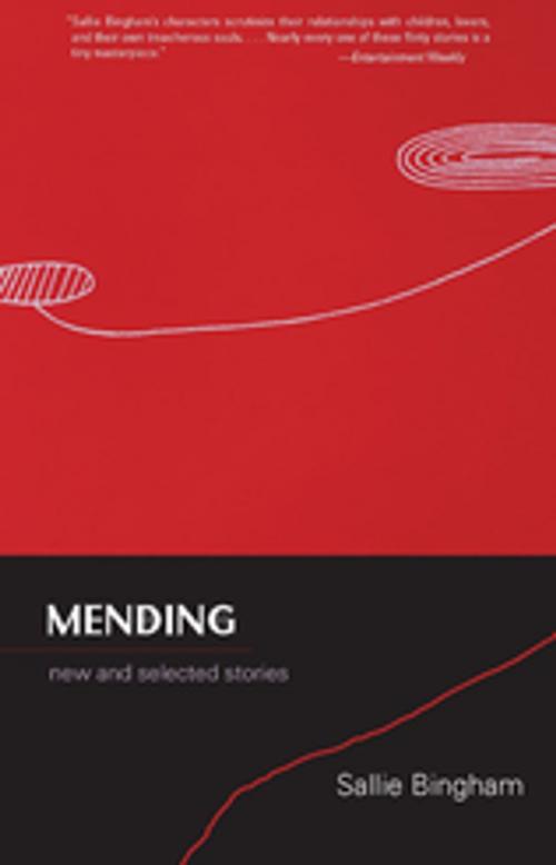 Cover of the book Mending by Sallie Bingham, Sarabande Books