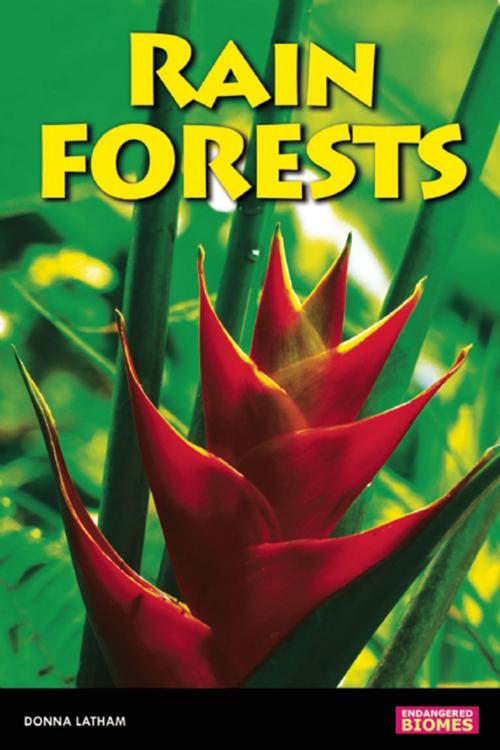 Cover of the book Rain Forests by Donna Latham, Nomad Press