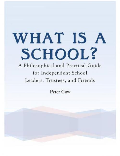 Cover of the book What Is a School? by Peter Gow, Hillcrest Media Group, Inc.