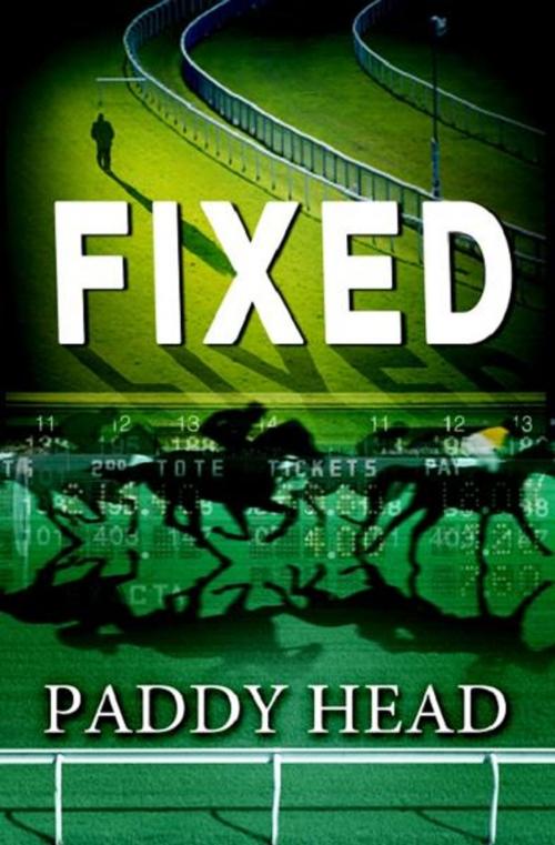 Cover of the book Fixed by Paddy Head, Hillcrest Media Group, Inc.