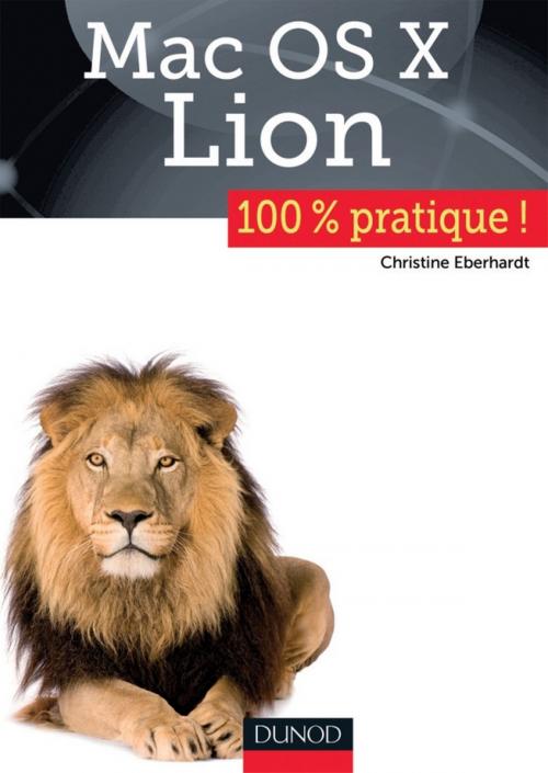 Cover of the book Mac OS X Lion by Christine Eberhardt, Dunod