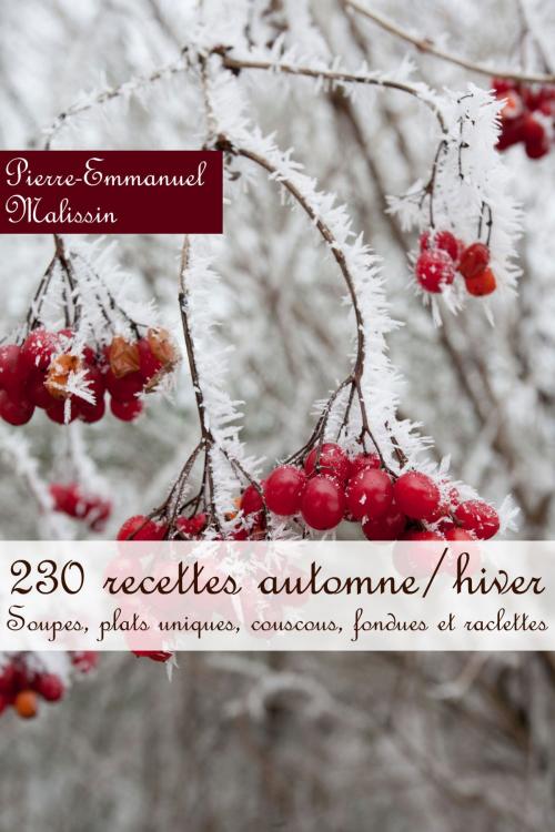 Cover of the book 230 recettes automne/hiver (Soupes, plats uniques, couscous, fondues et raclettes by Pierre-Emmanuel Malissin, Syllabaire éditions