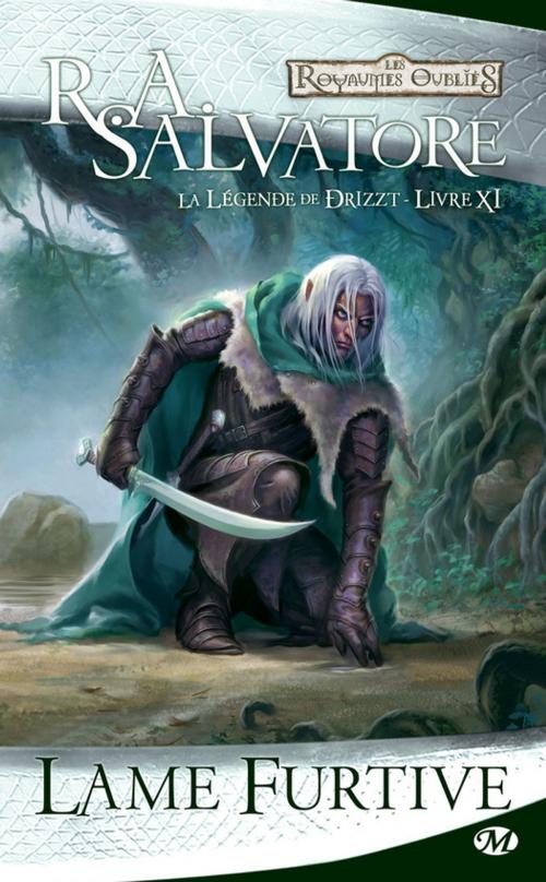 Cover of the book Lame furtive by R.A. Salvatore, Bragelonne