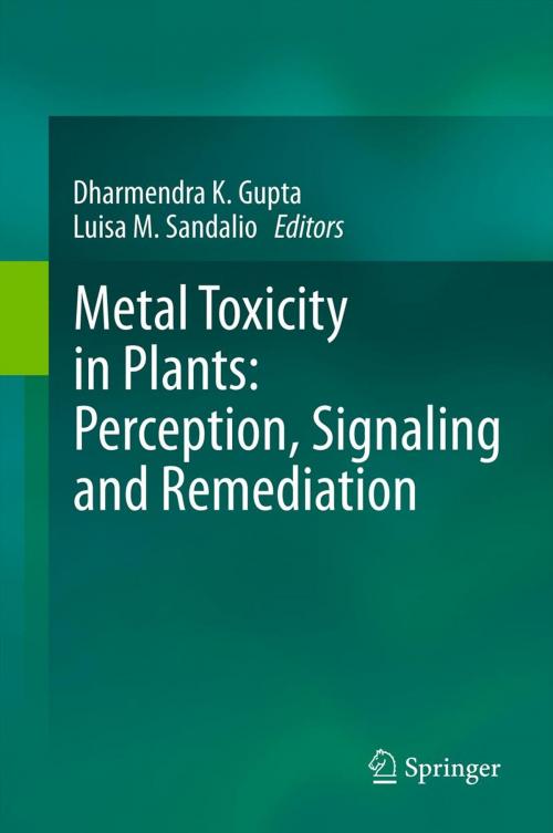 Cover of the book Metal Toxicity in Plants: Perception, Signaling and Remediation by , Springer Berlin Heidelberg