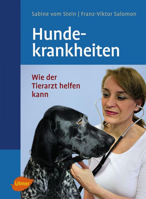 Cover of the book Hundekrankheiten by Sabine vom Stein, Prof. Dr. Franz-Viktor Salomon, Verlag Eugen Ulmer