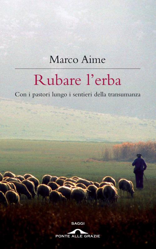 Cover of the book Rubare l'erba by Marco Aime, Ponte alle Grazie