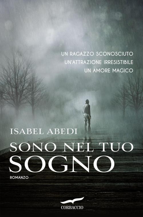 Cover of the book Sono nel tuo sogno by Isabel Abedi, Corbaccio
