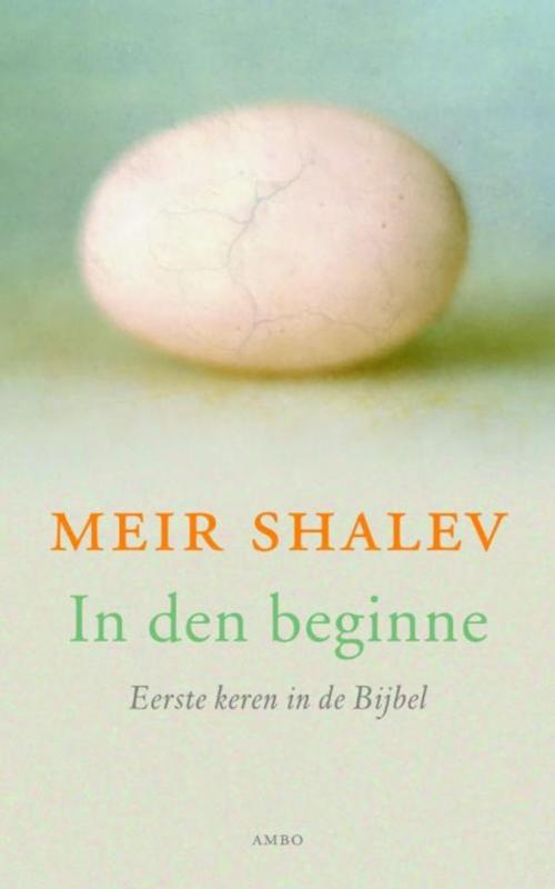 Cover of the book In den beginne by Meir Shalev, Ambo/Anthos B.V.