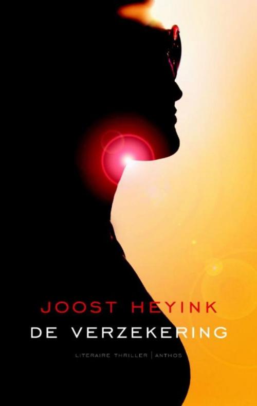 Cover of the book De verzekering by Joost Heyink, Ambo/Anthos B.V.