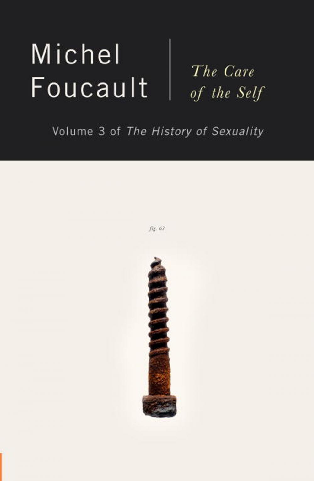 Big bigCover of The History of Sexuality, Vol. 3