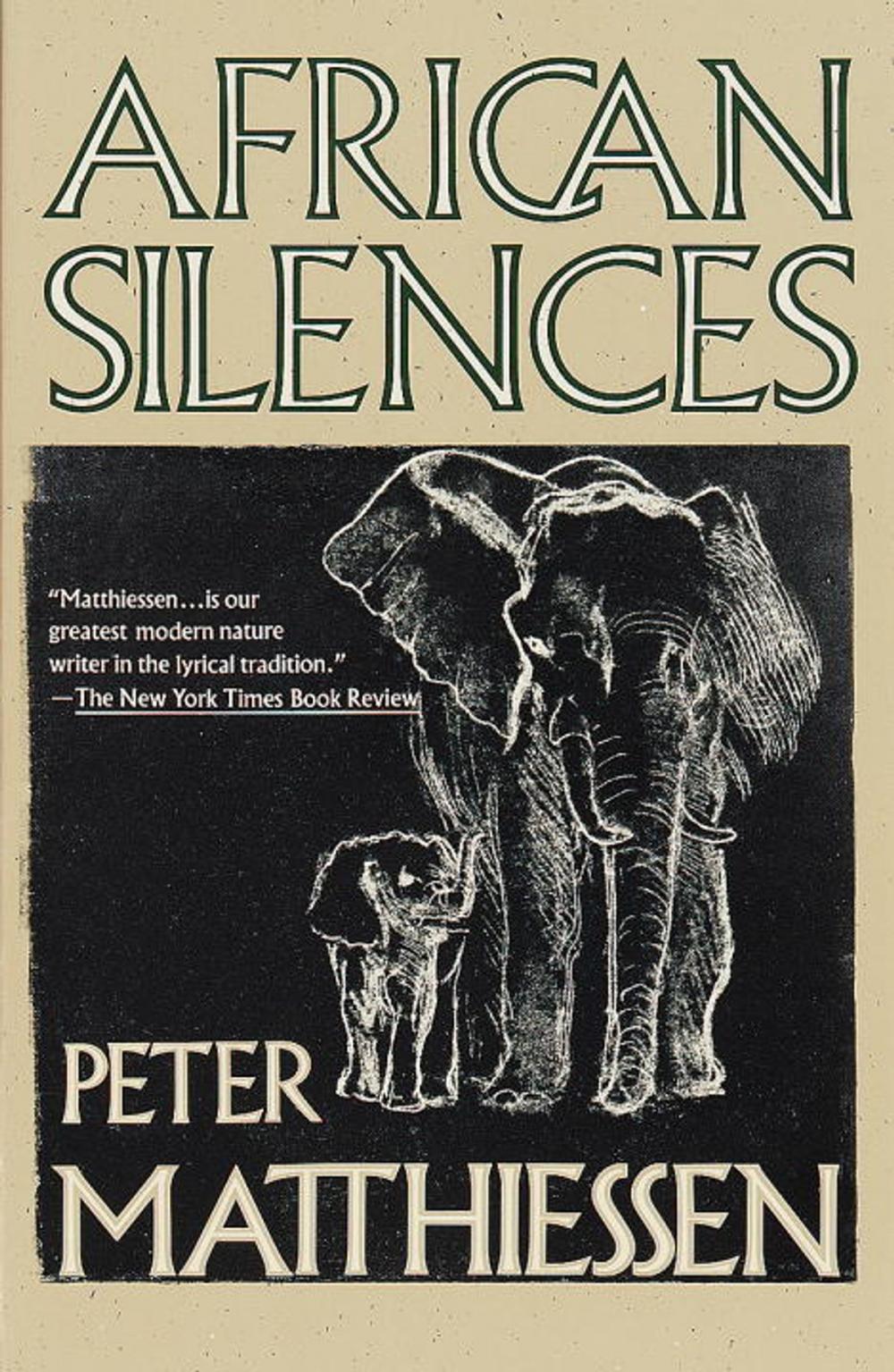 Big bigCover of African Silences