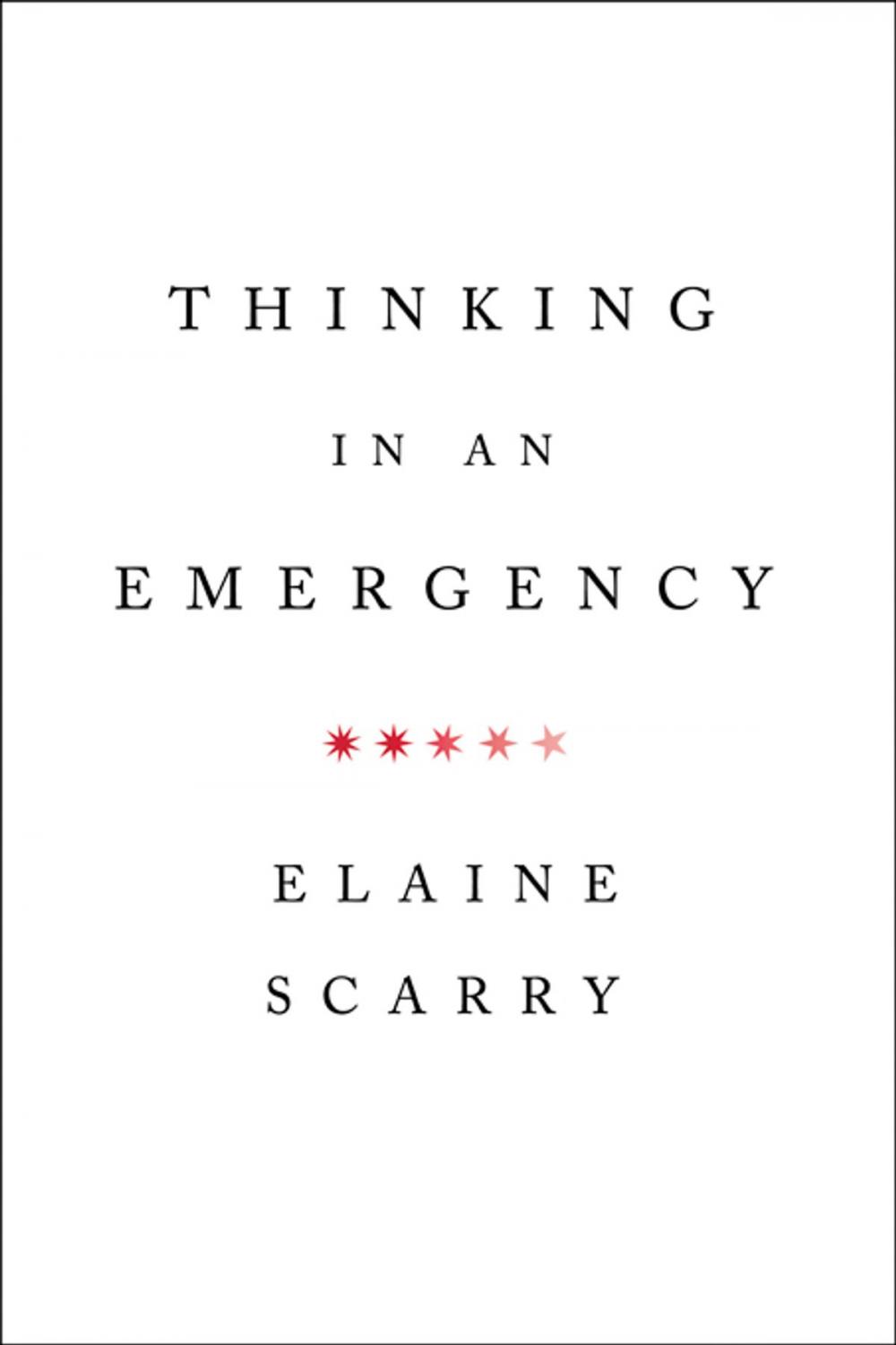 Big bigCover of Thinking in an Emergency (Norton Global Ethics Series)