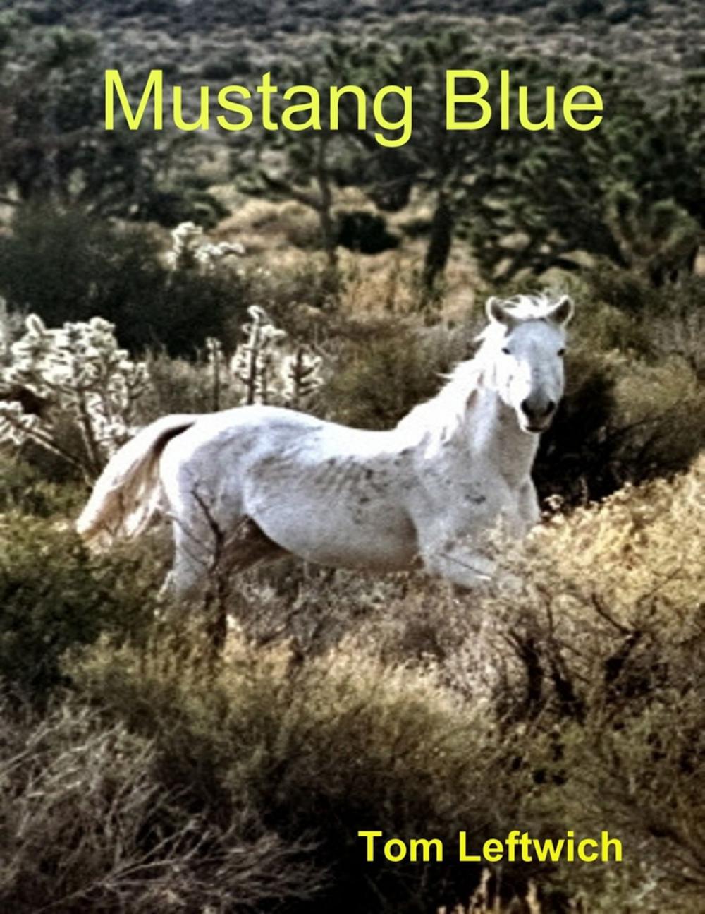Big bigCover of Mustang Blue
