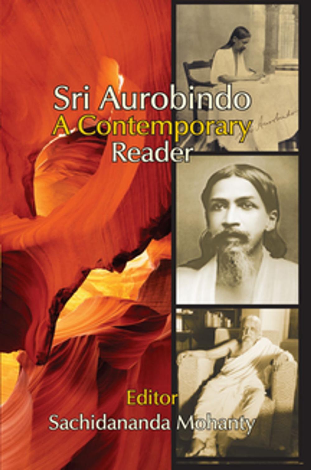Big bigCover of Sri Aurobindo