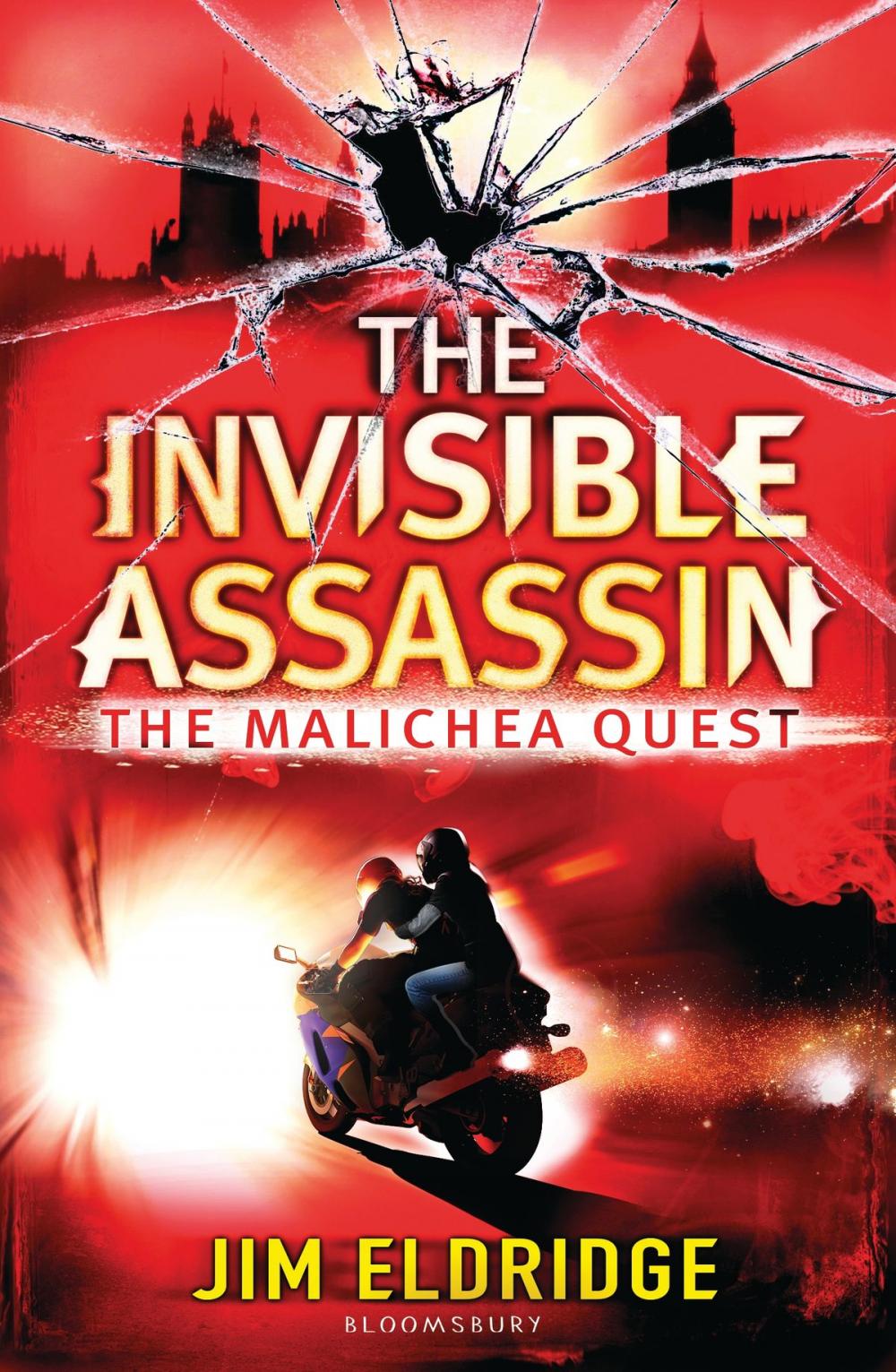 Big bigCover of The Invisible Assassin