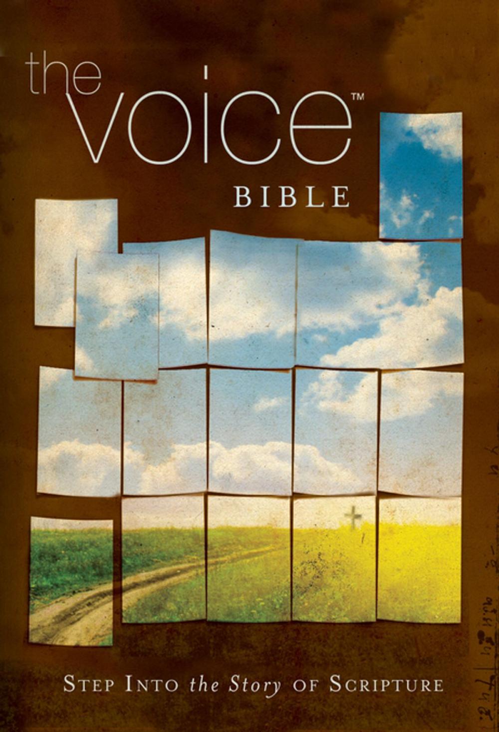 Big bigCover of The Voice Bible