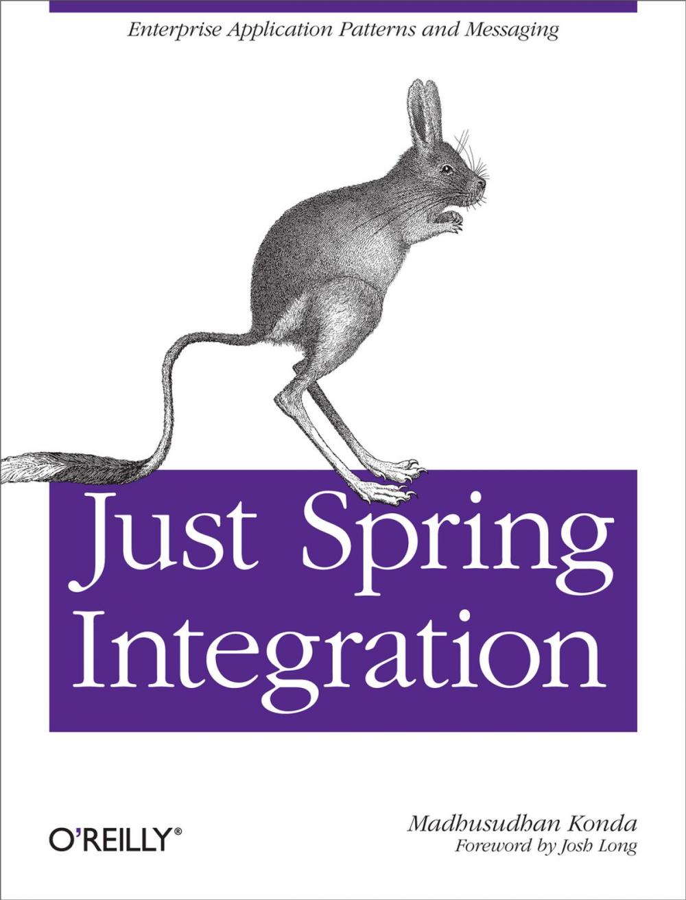 Big bigCover of Just Spring Integration