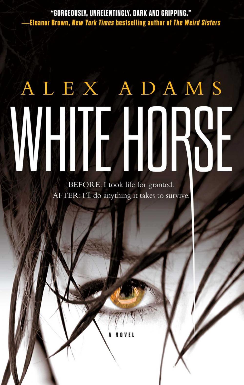 Big bigCover of White Horse