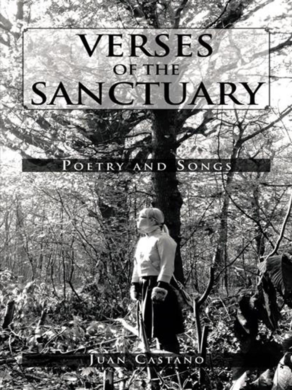 Big bigCover of Verses of the Sanctuary