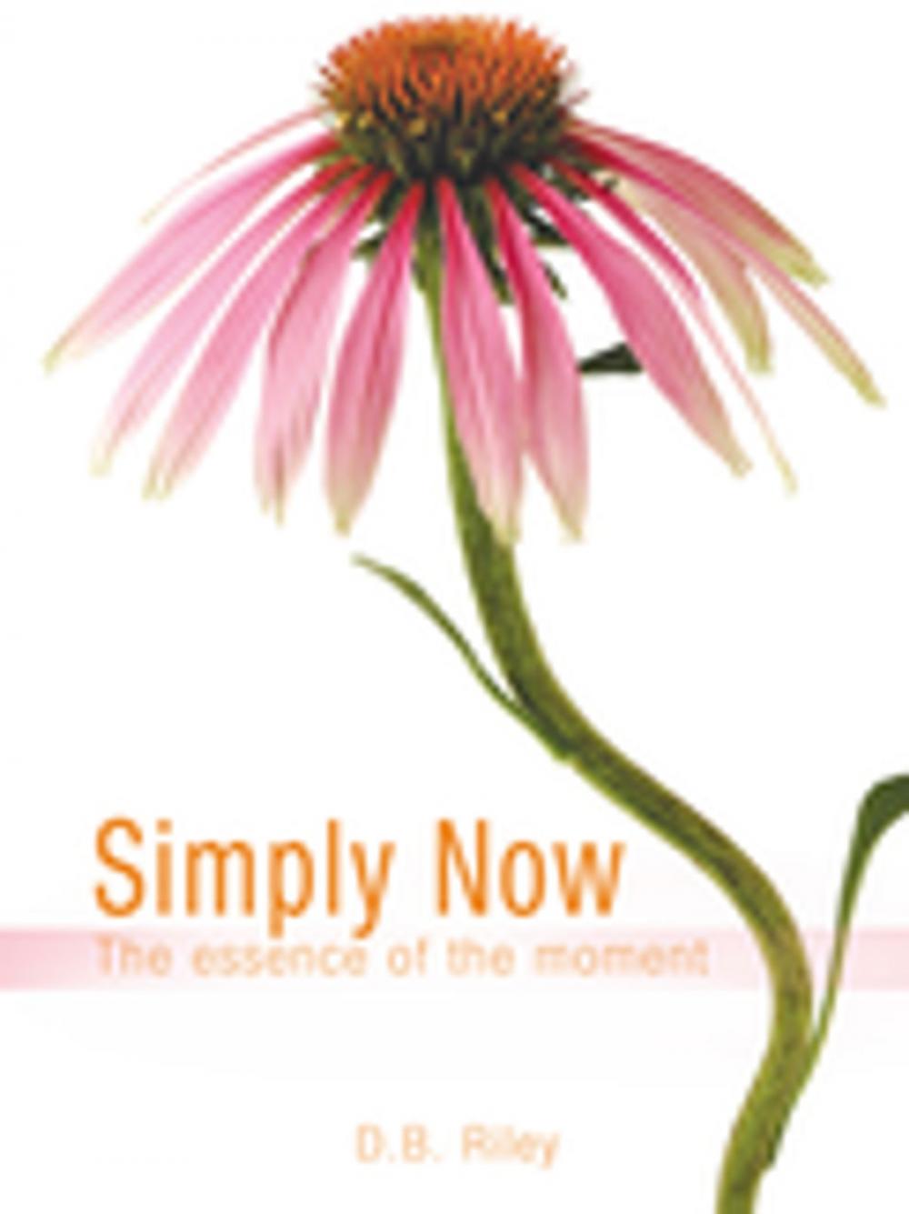 Big bigCover of Simply Now: the Essence of the Moment