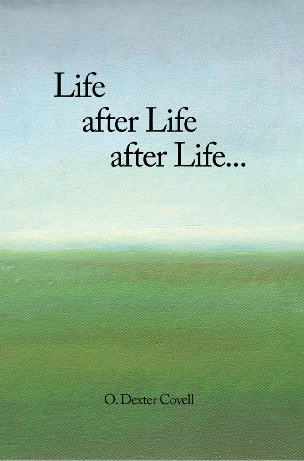 Big bigCover of Life After Life After Life...
