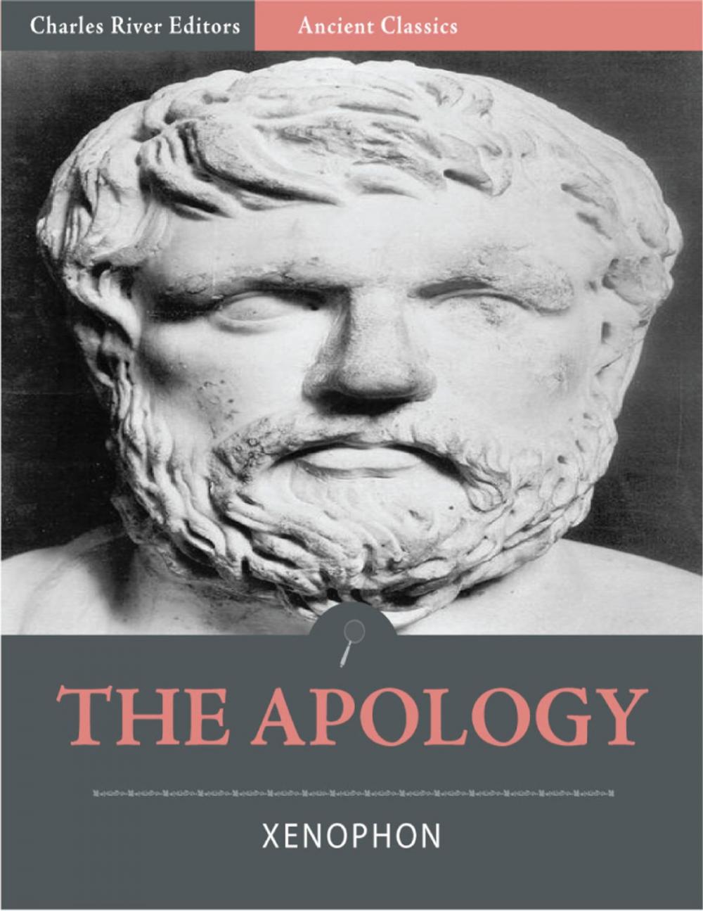 Big bigCover of The Apology (Illustrated)
