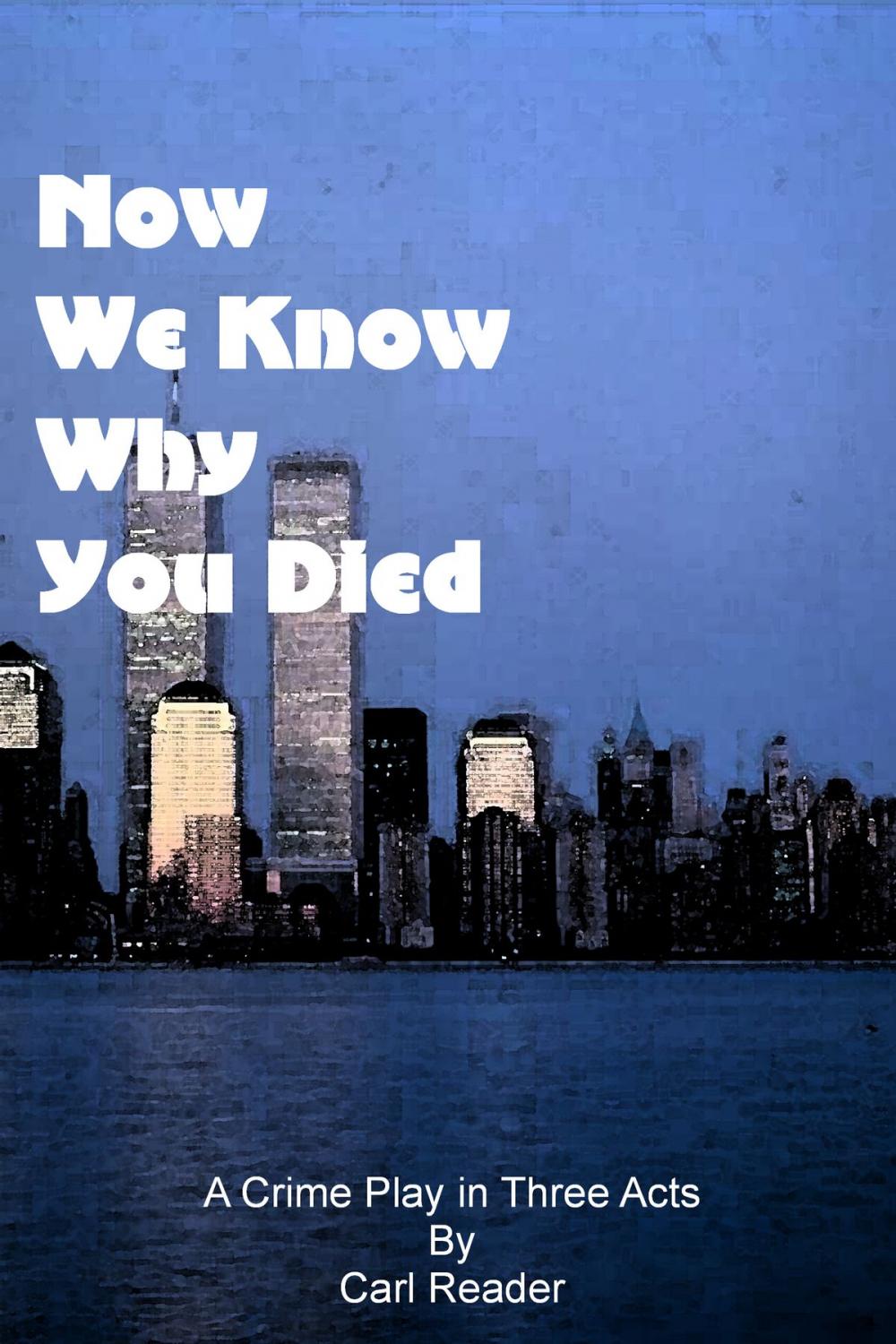 Big bigCover of Now We Know Why You Died
