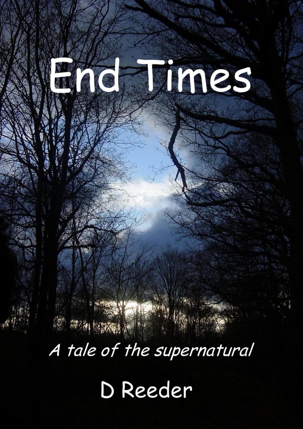Big bigCover of End Times