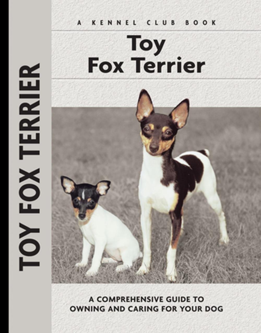 Big bigCover of Toy Fox Terrier