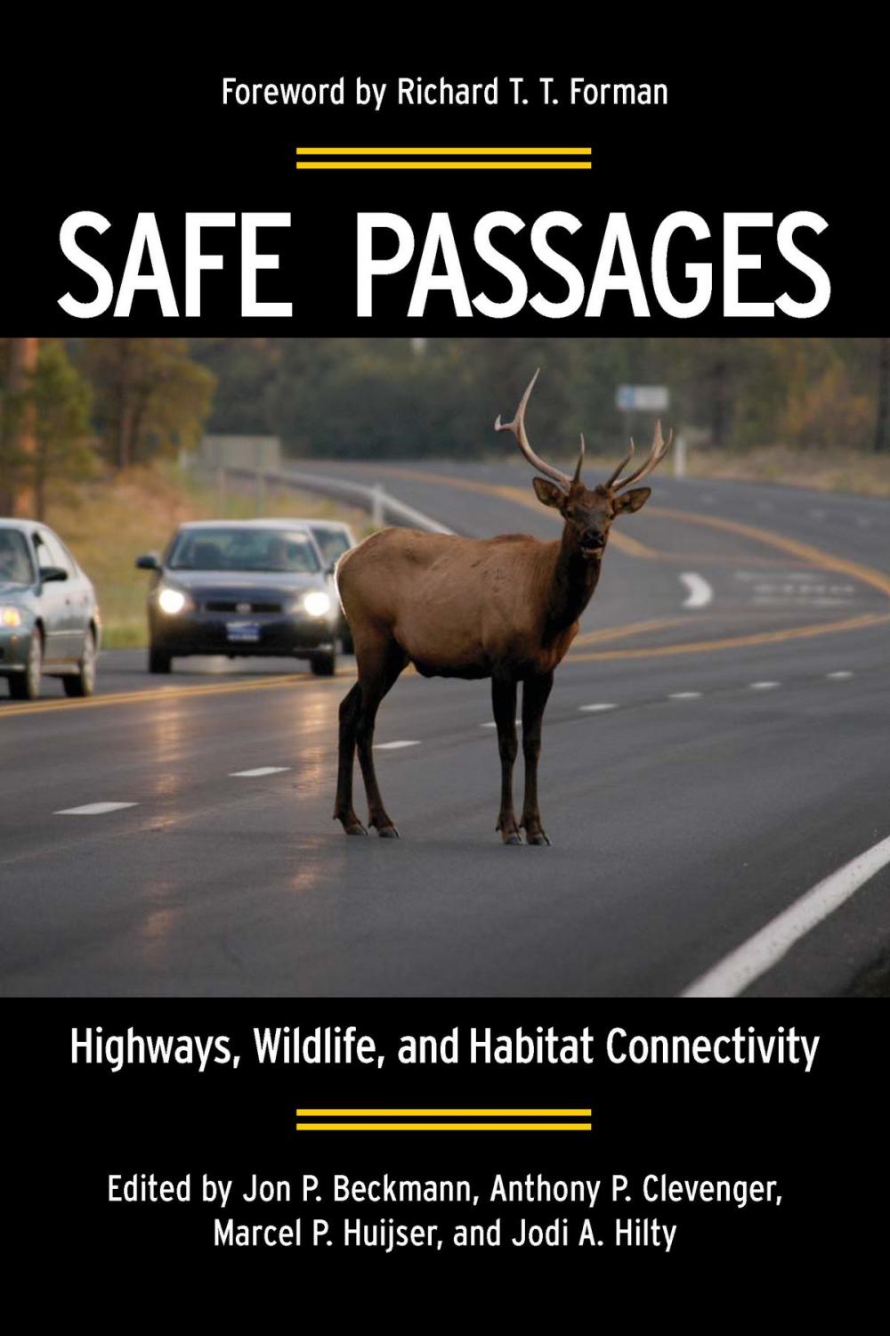 Big bigCover of Safe Passages