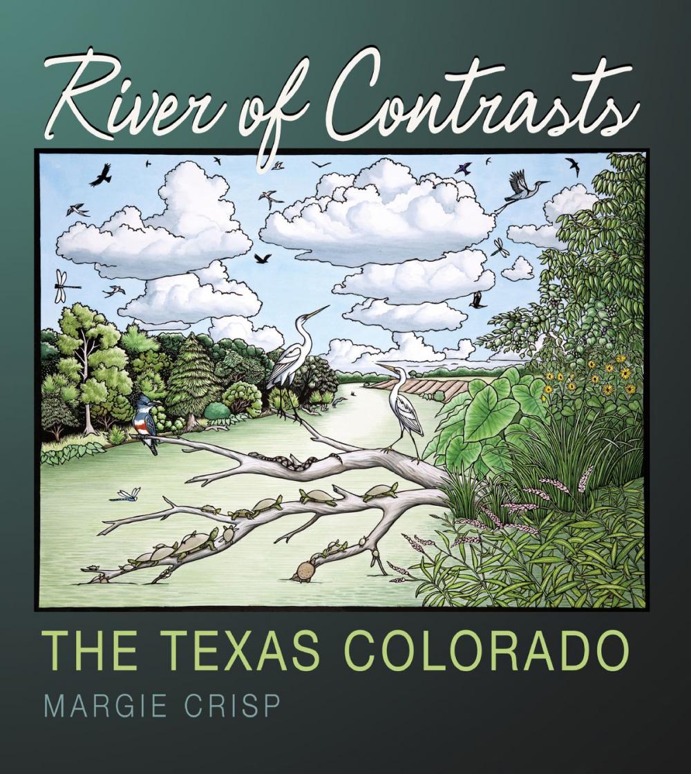 Big bigCover of River of Contrasts