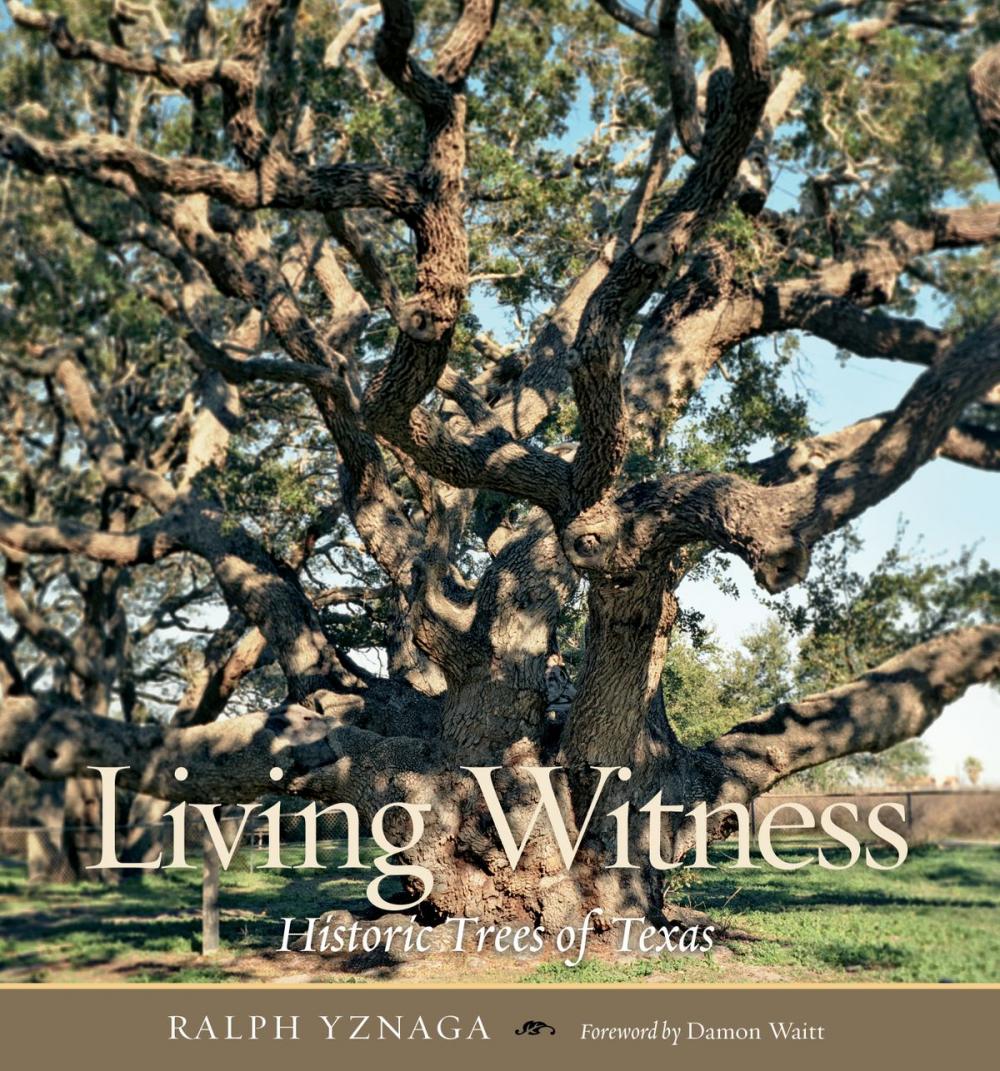 Big bigCover of Living Witness
