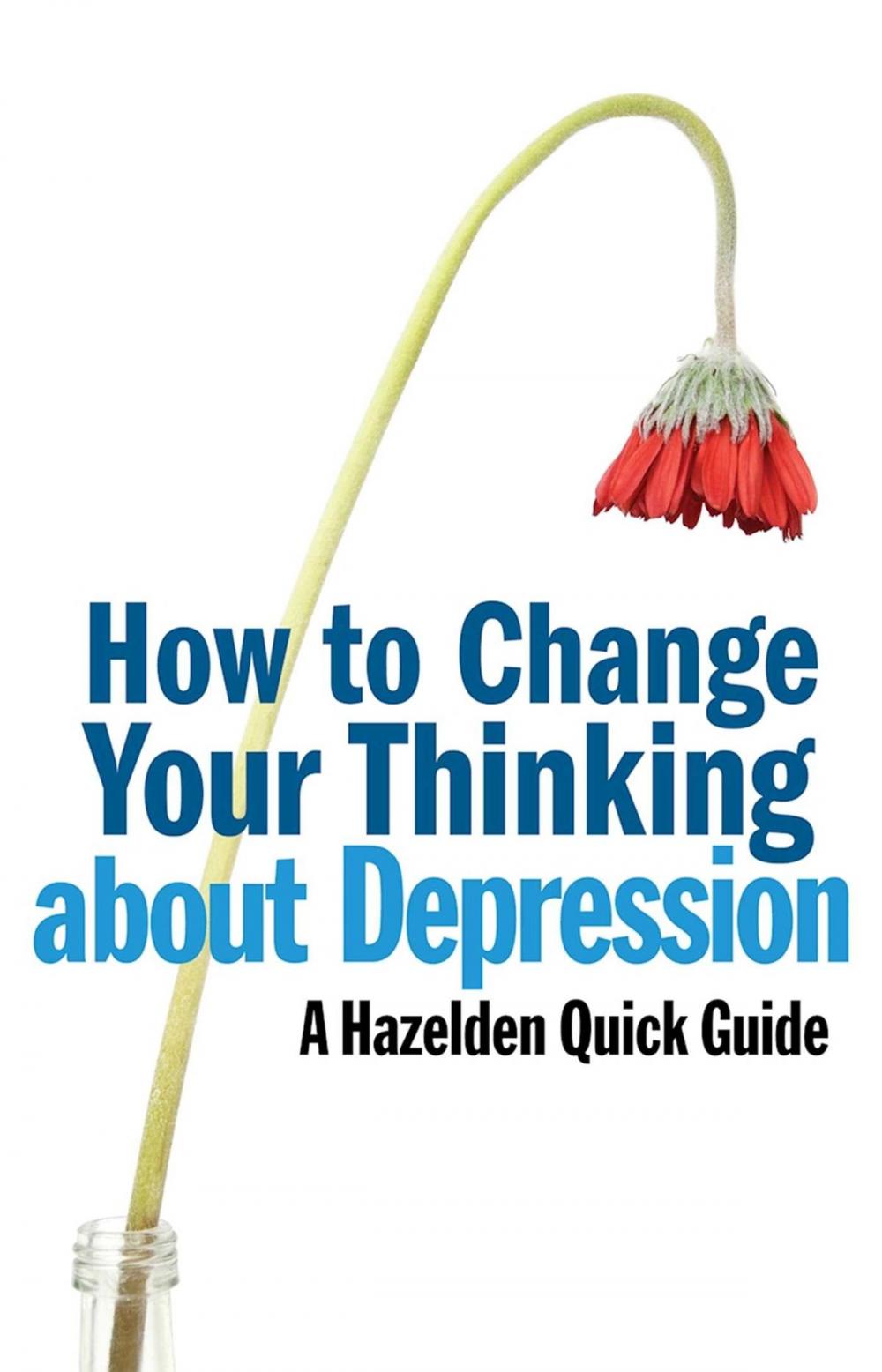 Big bigCover of How to Change Your Thinking About Depression
