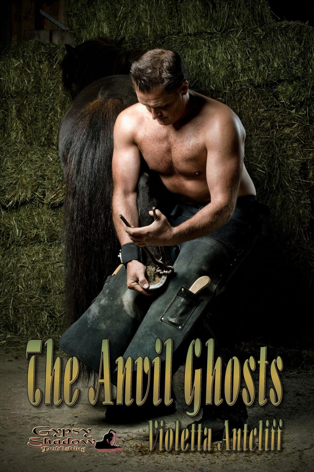 Big bigCover of The Anvil Ghosts