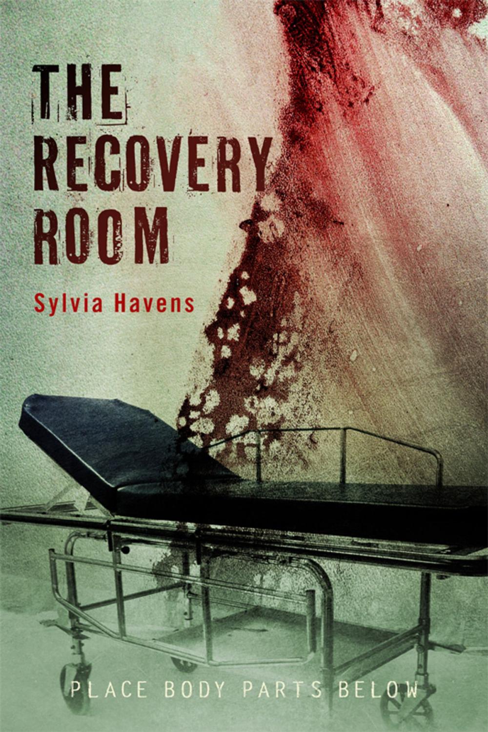 Big bigCover of The Recovery Room
