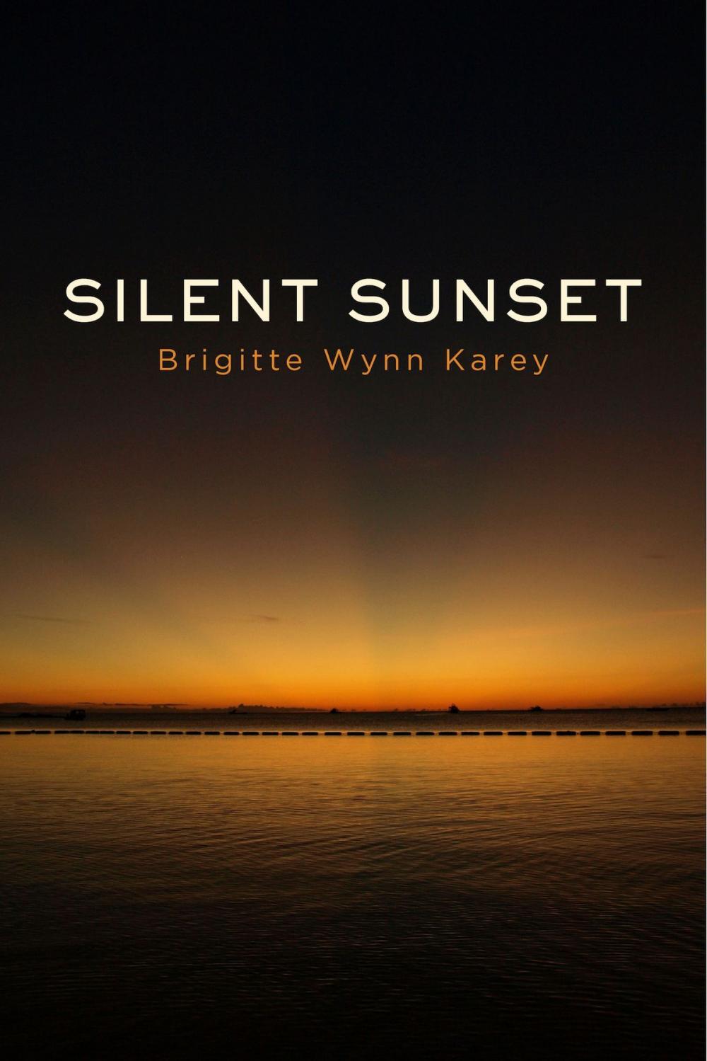 Big bigCover of Silent Sunset