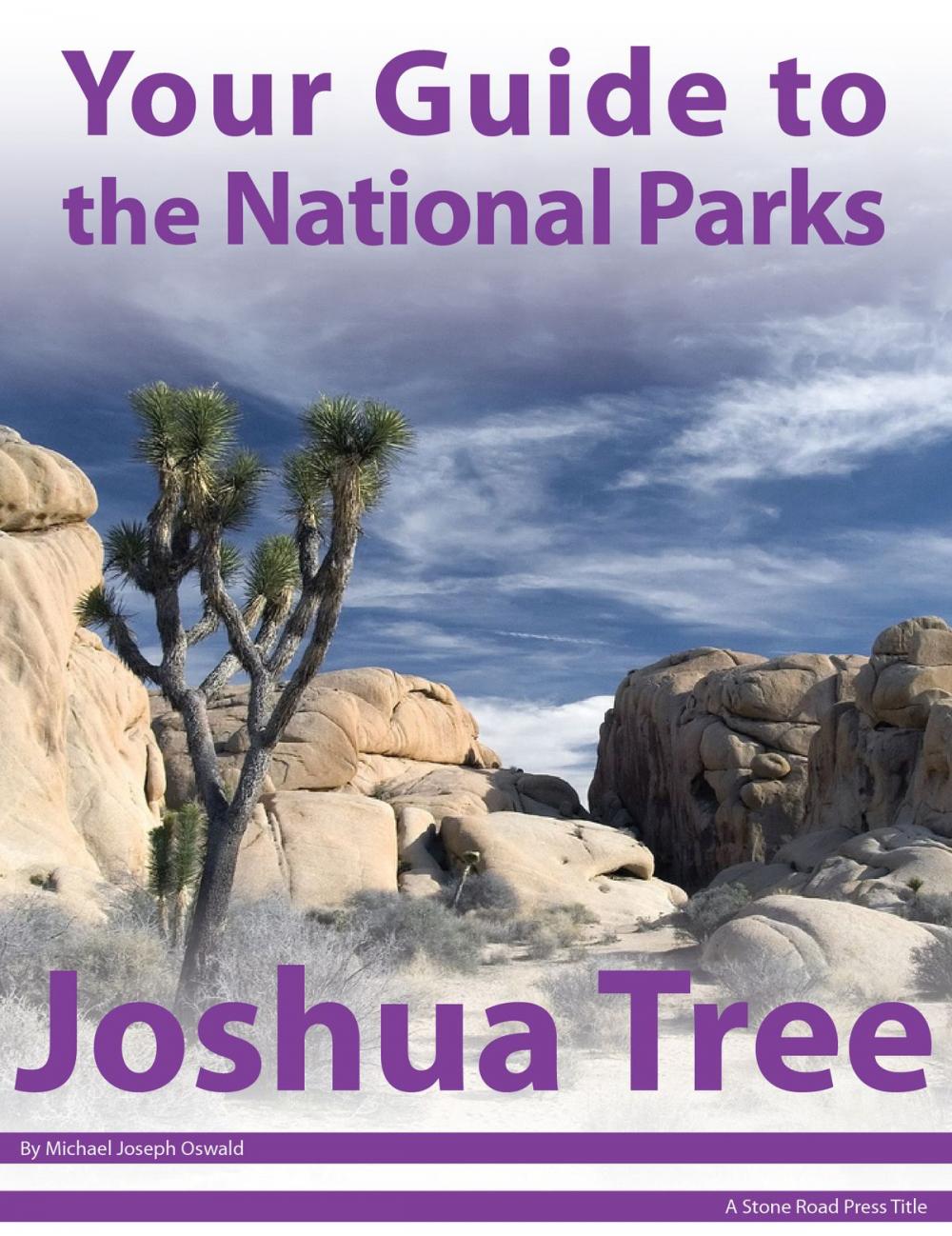Big bigCover of Your Guide to Joshua Tree National Park