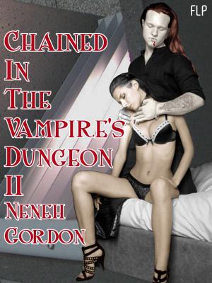 Book cover of Chained In The Vampire's Dungeon II