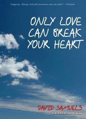 Book cover of Only Love Can Break Your Heart