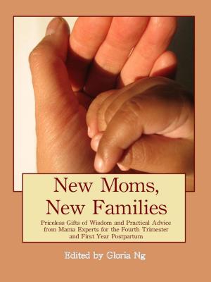 Book cover of New Moms, New Families