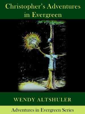 Cover of the book Christopher's Adventures in Evergreen by Wendy Terrien